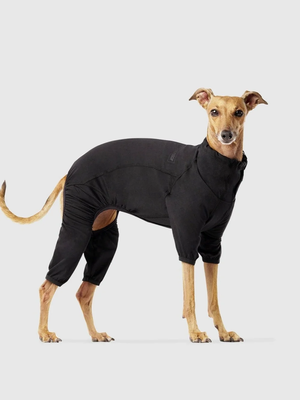 Canada Pooch Black Full-Coverage Dog Body Suit - Protective Wear